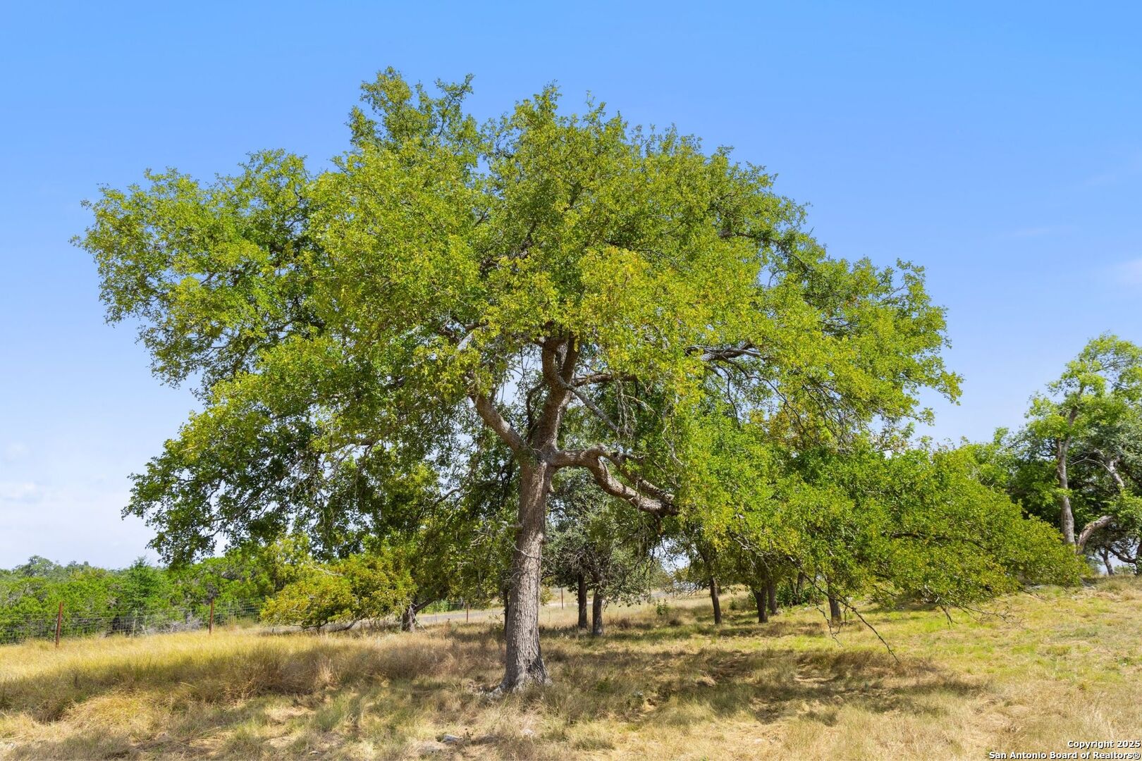 11 Sacramento Kendalia TX 78027