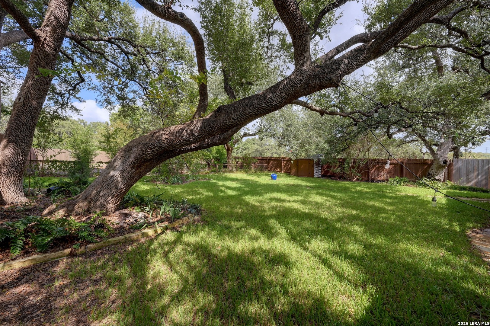 5113 Blue Ivy Bulverde TX 78163