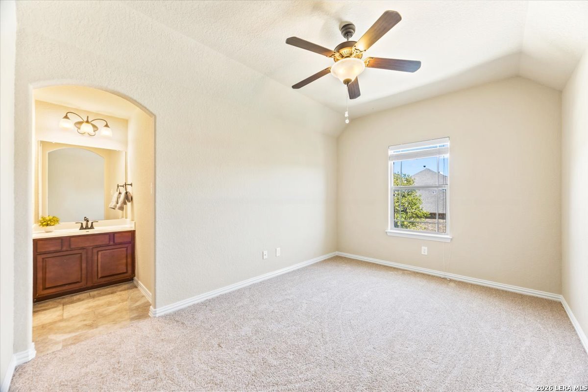 3830 Ox-eye Daisy San Antonio TX 78261