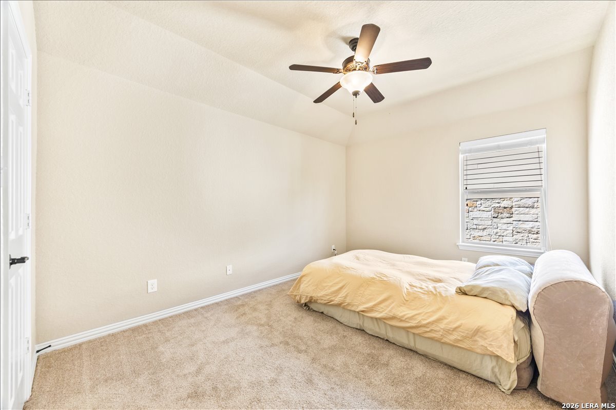 3830 Ox-eye Daisy San Antonio TX 78261