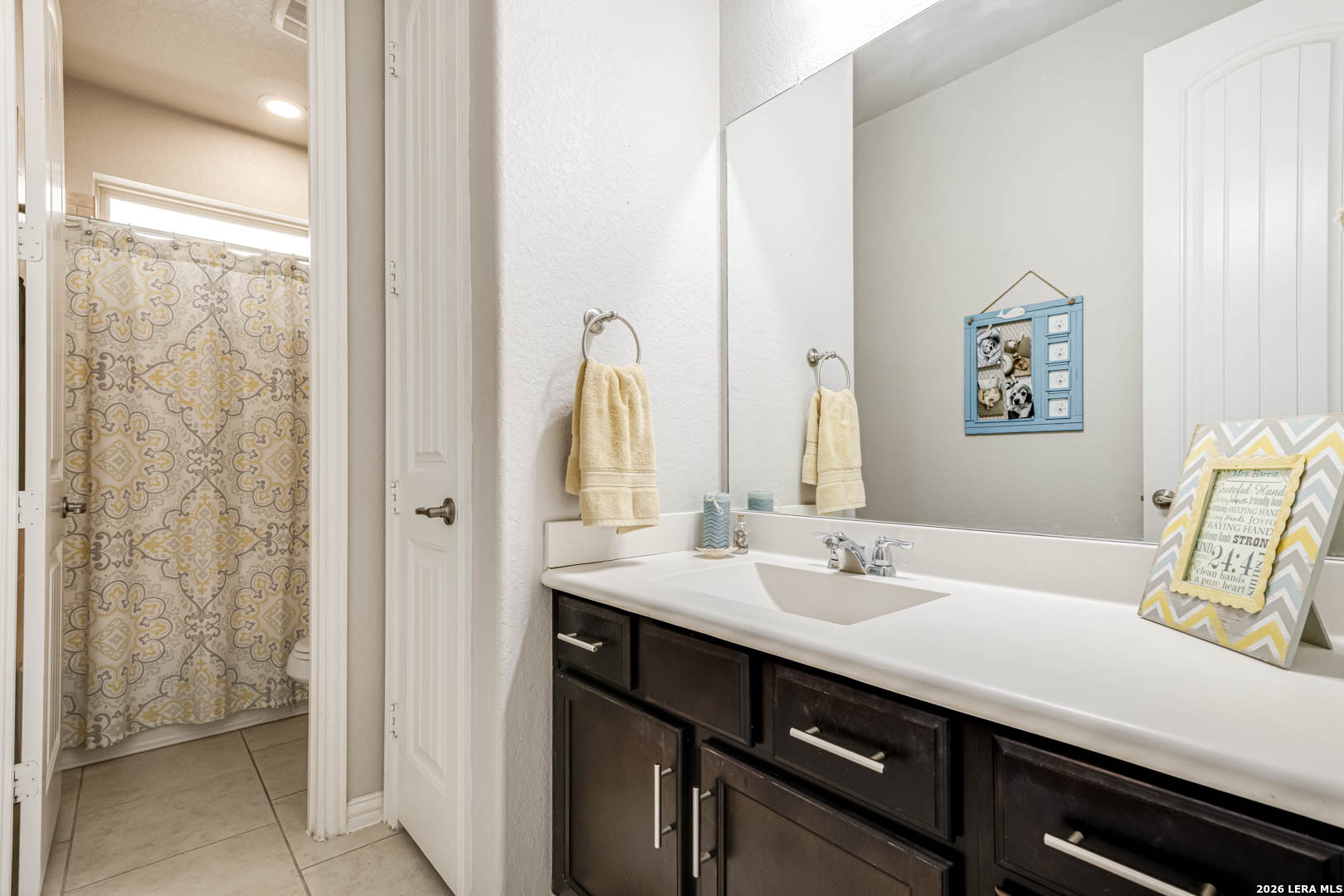 3769 Cremini Drive Bulverde TX 78163