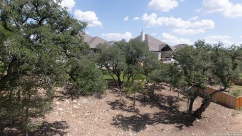 6821 Arbor Falls Fair Oaks Ranch TX 78015