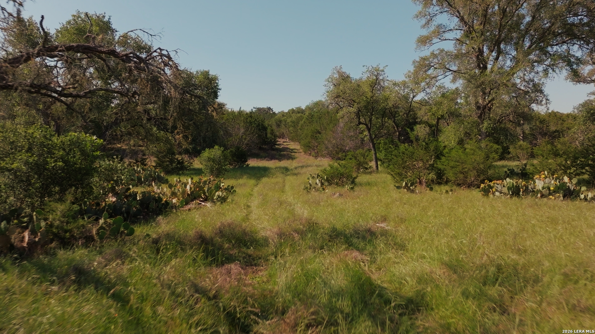 360 Kirk Lane Bulverde TX 78163