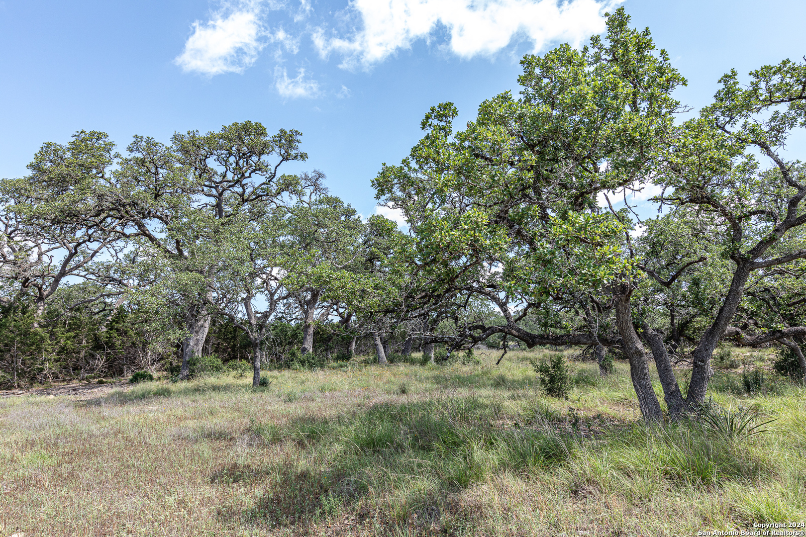 664 Annabelle Avenue Bulverde TX 78163