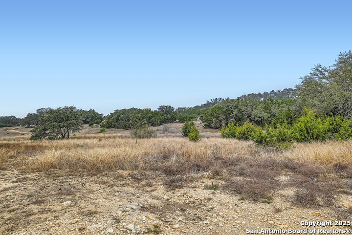 34717 Mayer Oaks Bulverde TX 78163