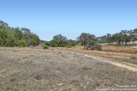 34717 Mayer Oaks Bulverde TX 78163