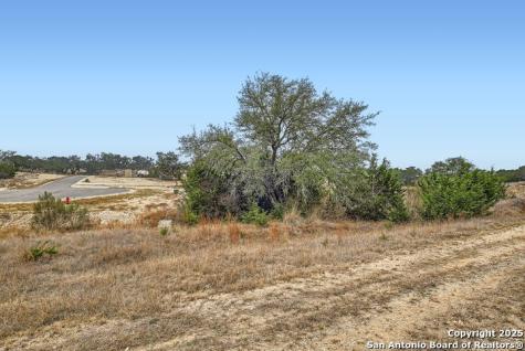 34717 Mayer Oaks Bulverde TX 78163