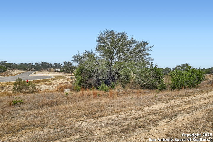 34717 Mayer Oaks Bulverde TX 78163