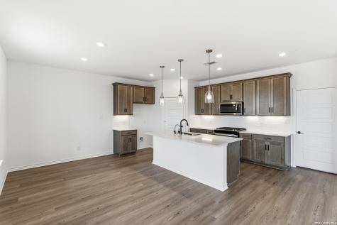 179 Thorny Grove San Antonio TX 78253