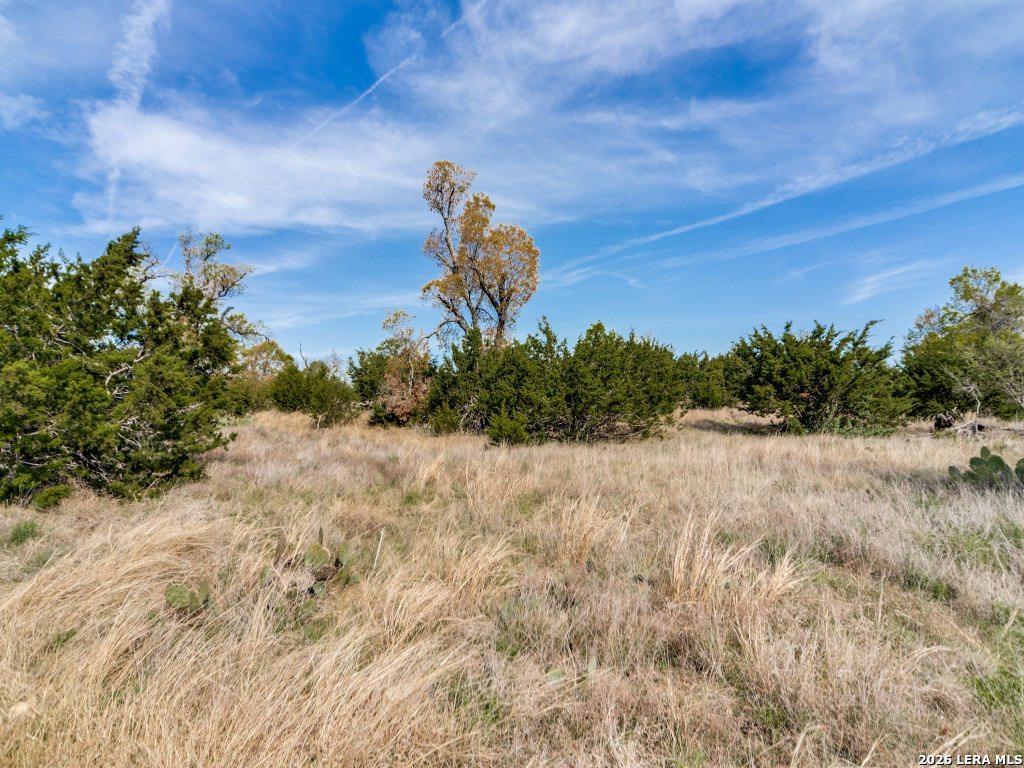 7991 Ranch Road 965 Fredericksburg TX 78624