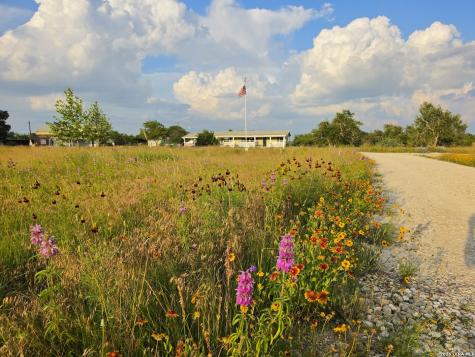 7991 Ranch Road 965 Fredericksburg TX 78624