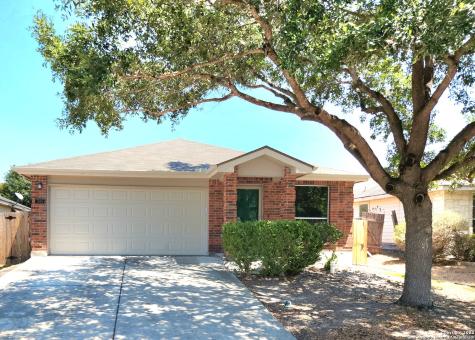 344 Ibis Falls Drive New Braunfels TX 78130