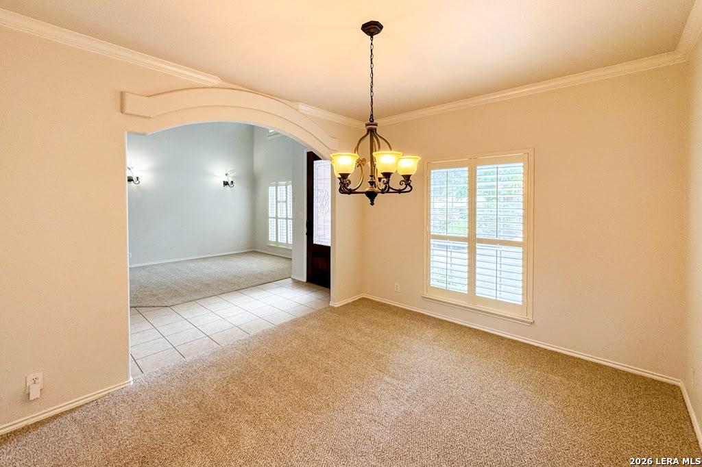 24706 Cloudy Creek San Antonio TX 78255