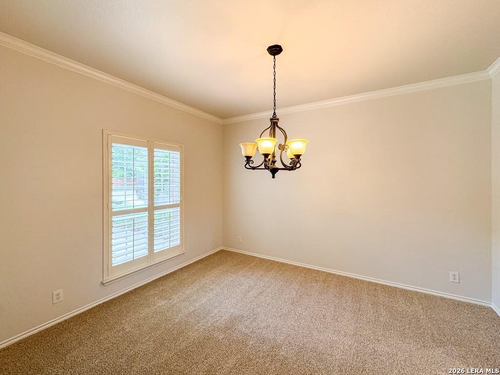 24706 Cloudy Creek San Antonio TX 78255