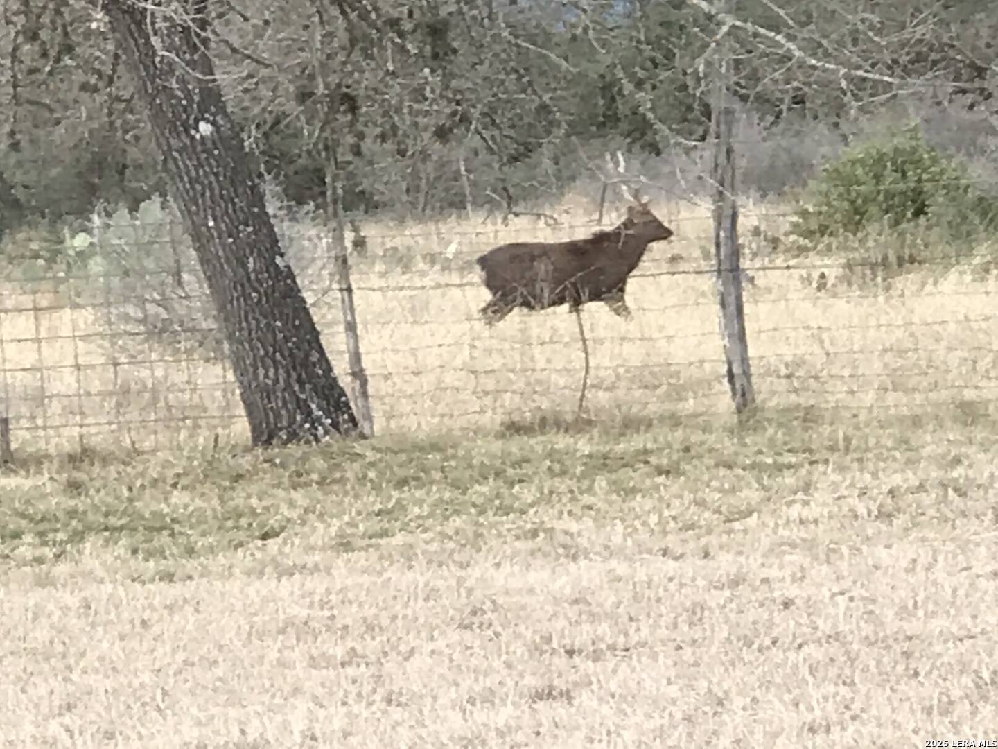 2814 Panther Hollow Drive Bandera TX 78003
