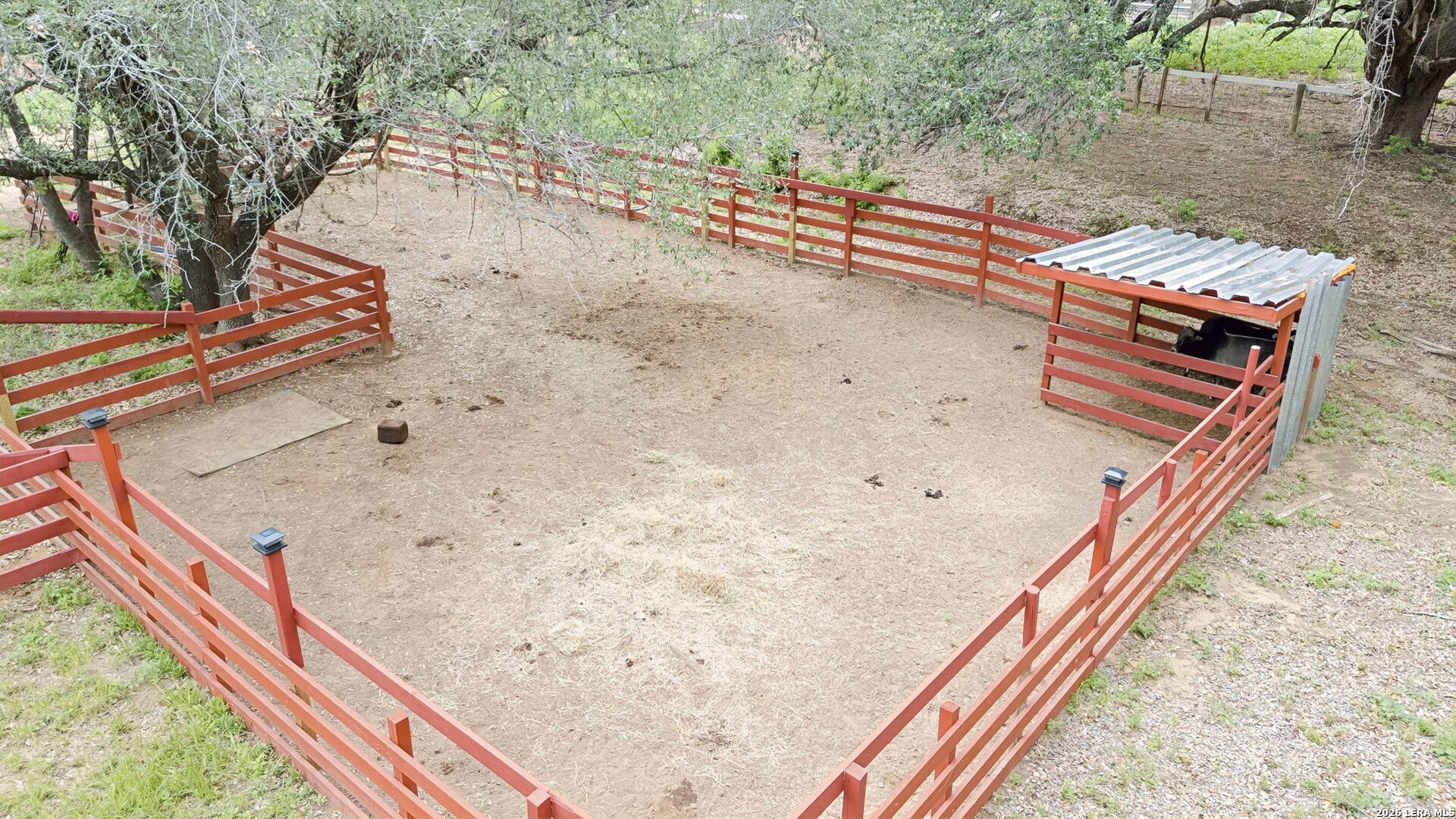 1169 Old Adams Lane Pleasanton TX 78064