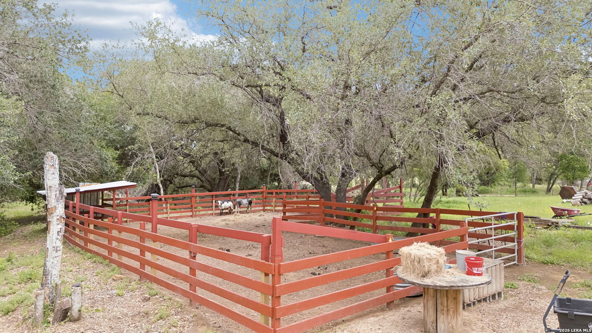 1169 Old Adams Lane Pleasanton TX 78064