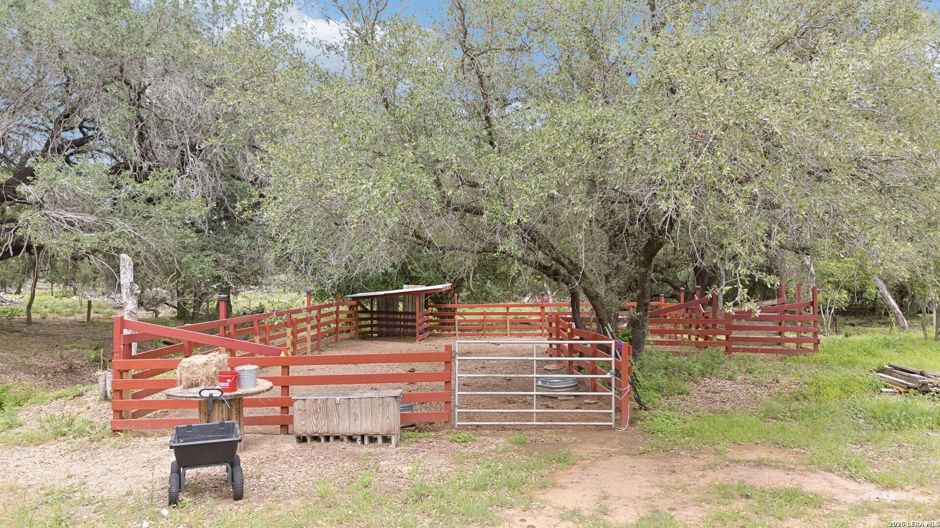 1169 Old Adams Lane Pleasanton TX 78064