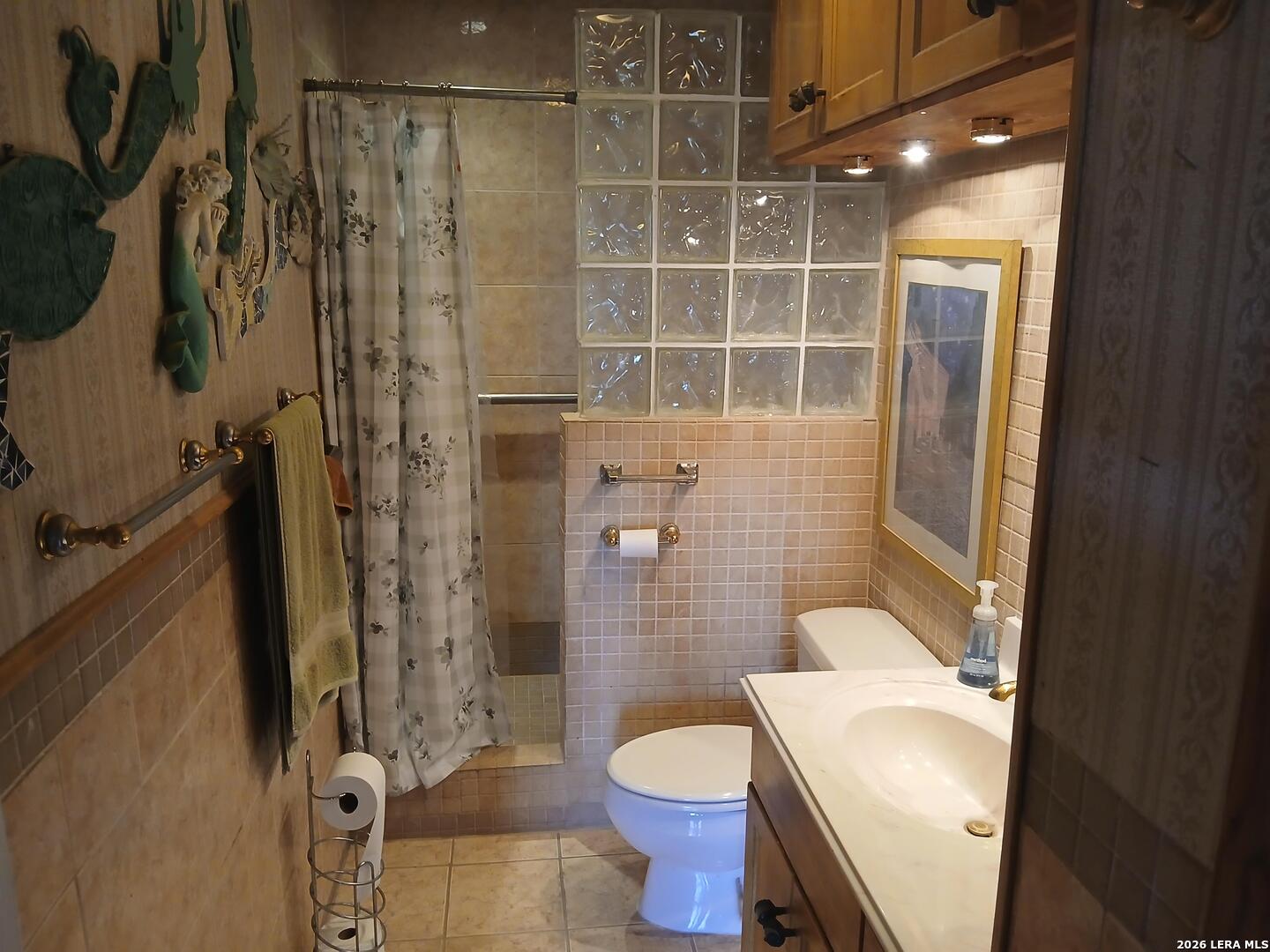 11239 Blue Waters Helotes TX 78023
