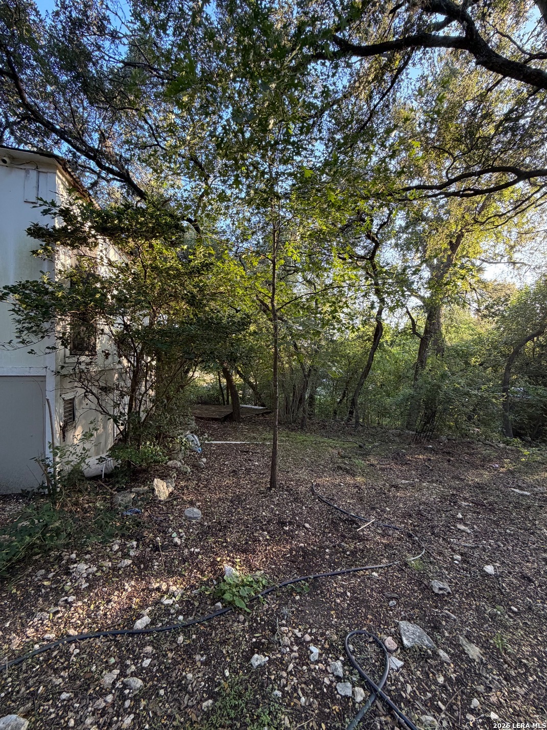 25203 Aue Road San Antonio TX 78257