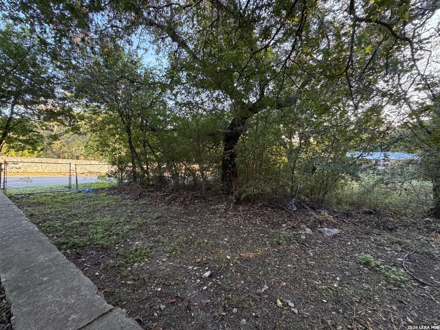 25203 Aue Road San Antonio TX 78257