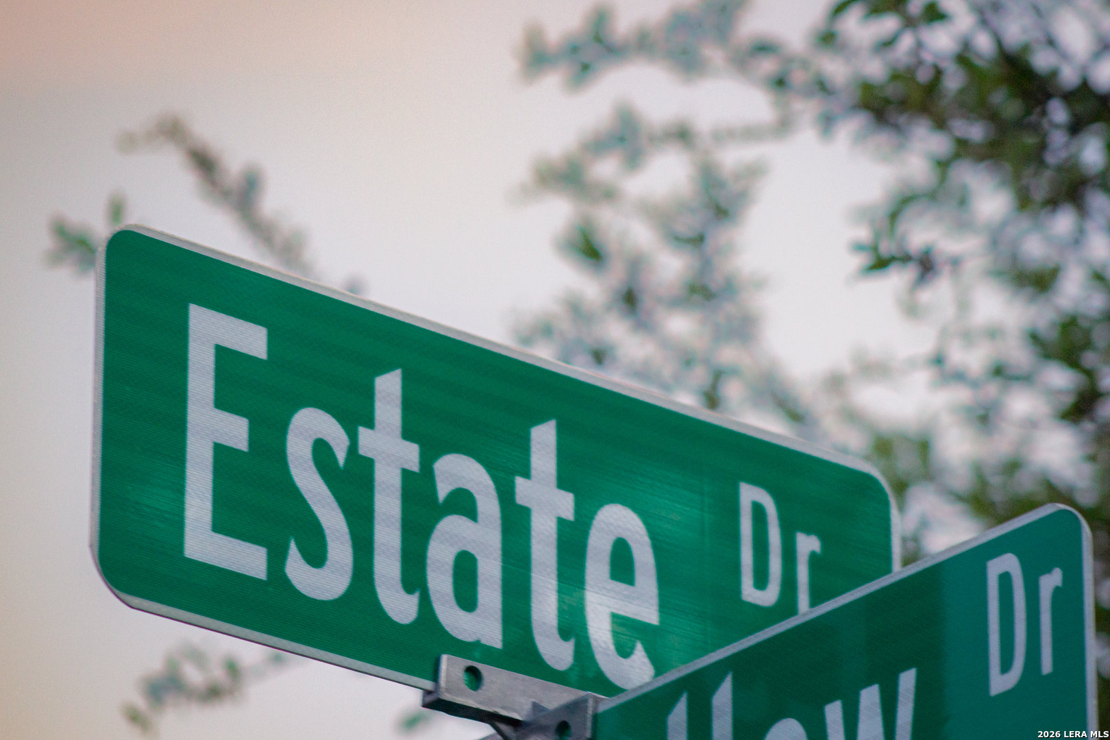 1193 Estate New Braunfels TX 78132