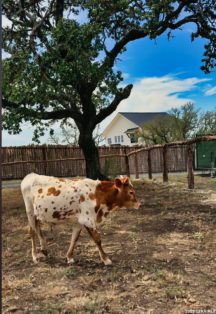 170 Teich Lane Bandera TX 78003