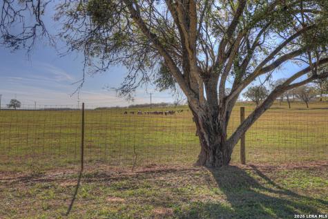 139 Angel Lane Seguin TX 78155