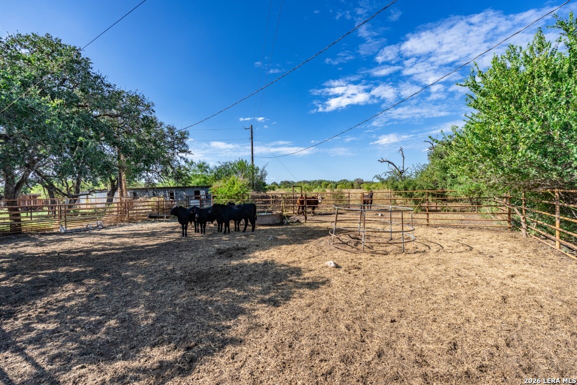 8331 County Road 311 Utopia TX 78884