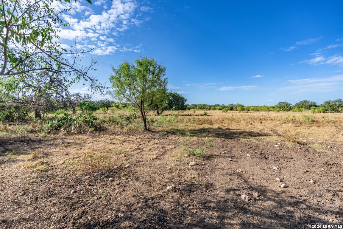 8331 County Road 311 Utopia TX 78884
