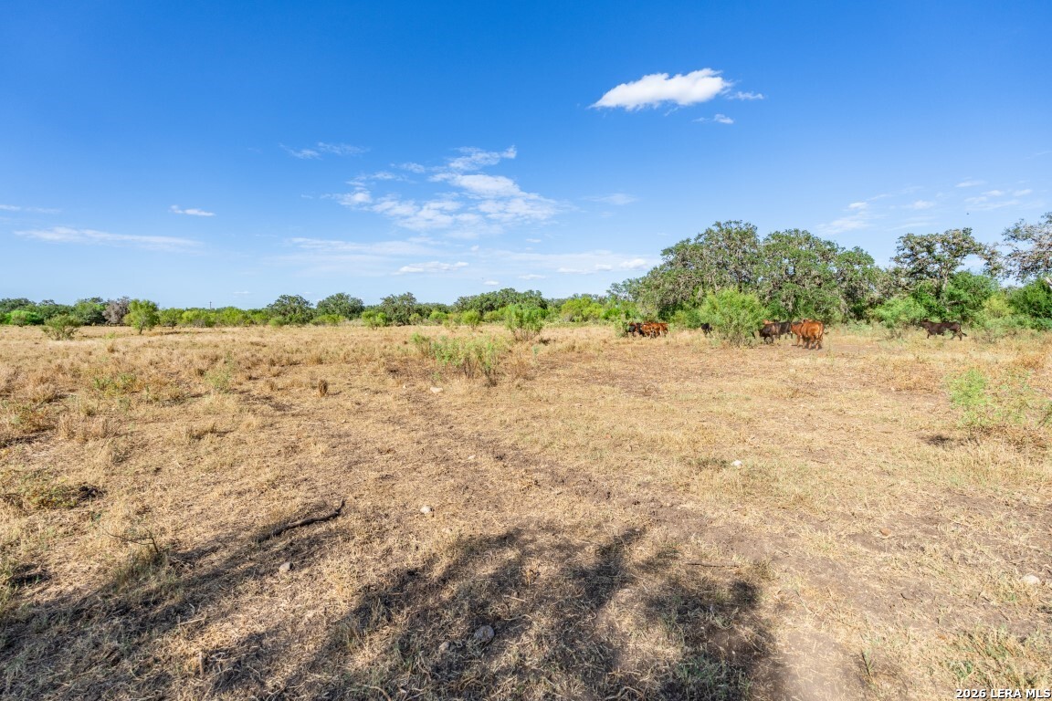 8331 County Road 311 Utopia TX 78884