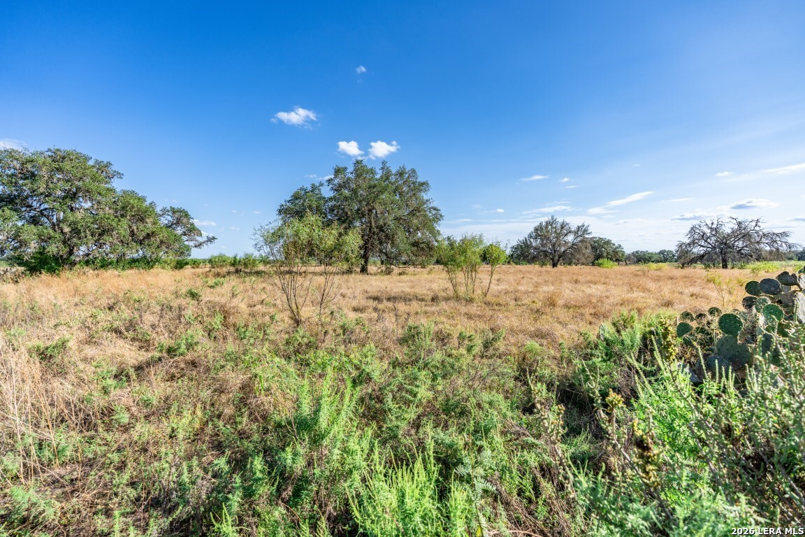 8331 County Road 311 Utopia TX 78884