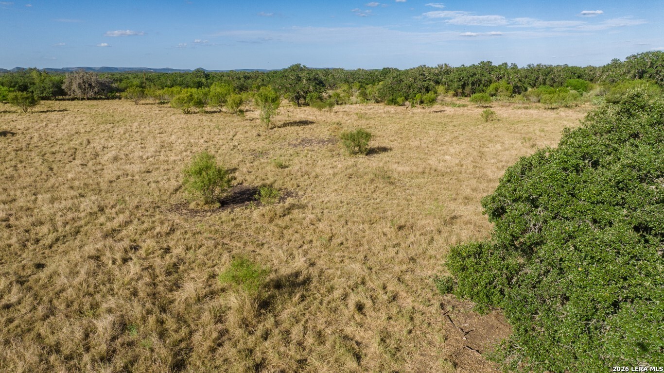 8331 County Road 311 Utopia TX 78884