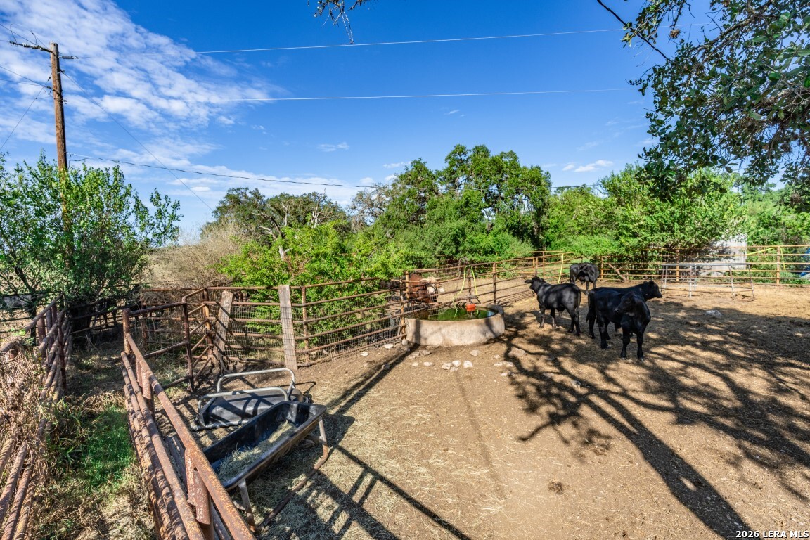 8331 County Road 311 Utopia TX 78884