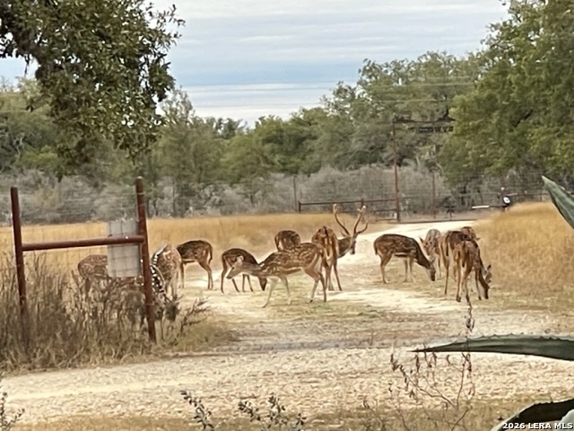 8331 County Road 311 Utopia TX 78884