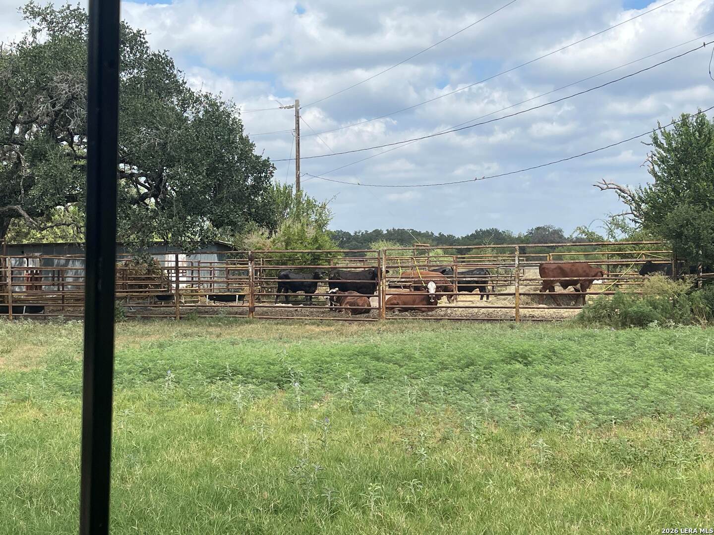 8331 County Road 311 Utopia TX 78884