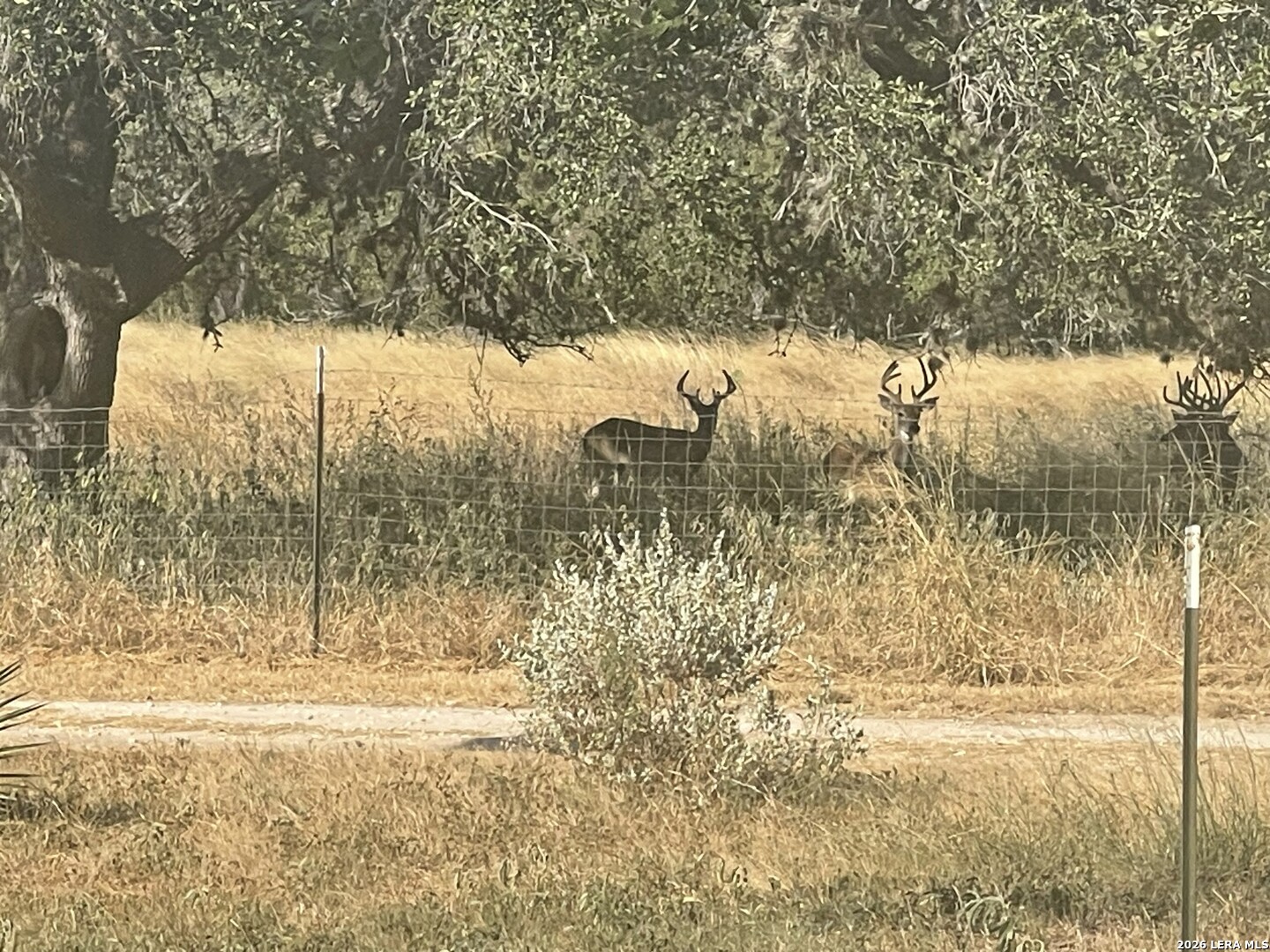 8331 County Road 311 Utopia TX 78884