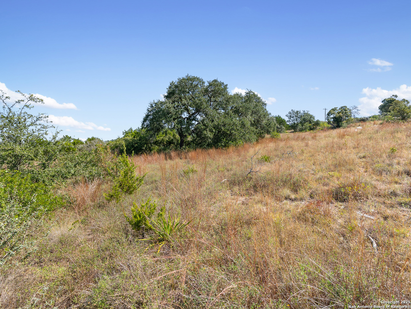 23108 Taylor Ridge San Antonio TX 78255