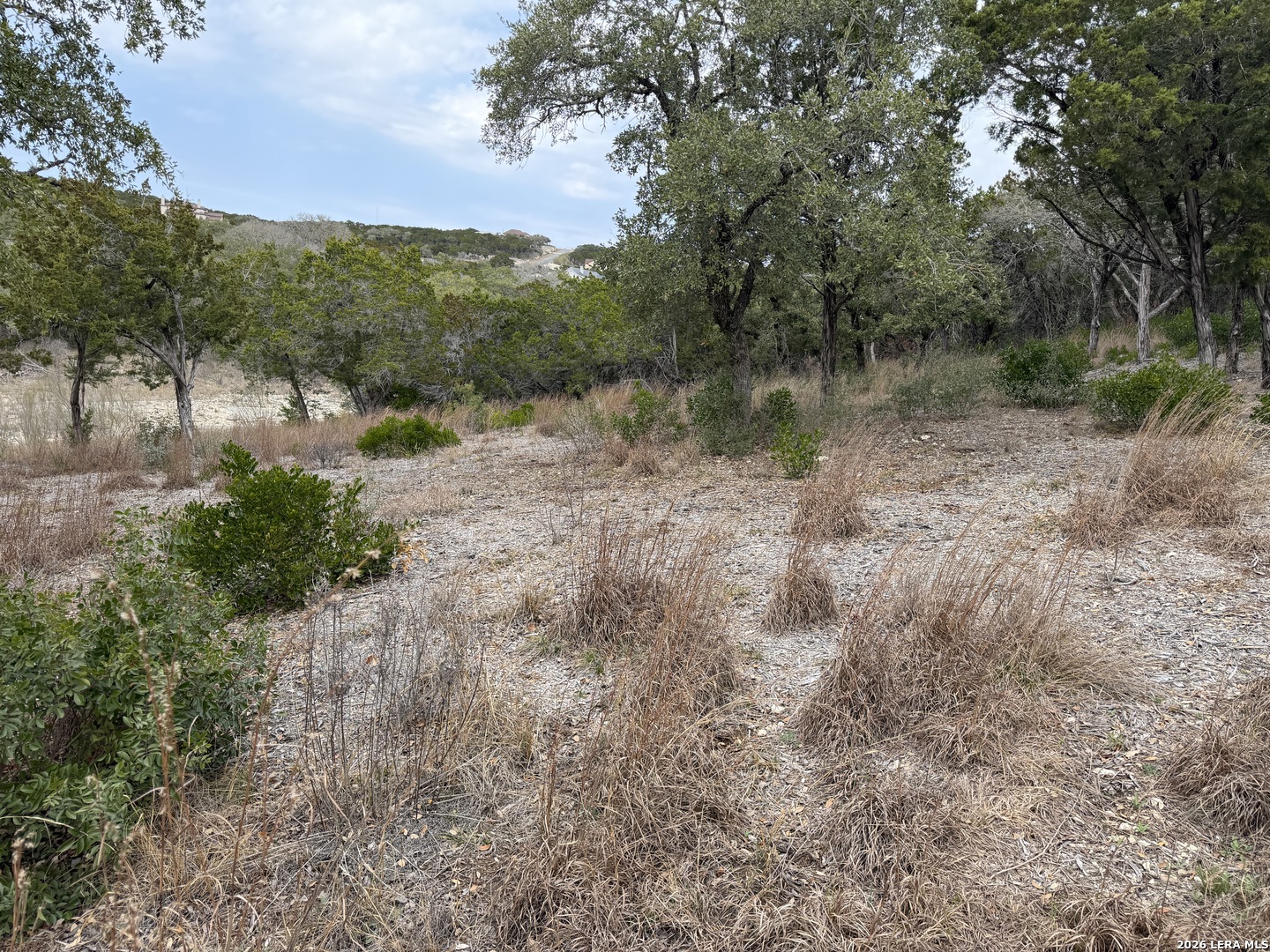 Lot 45 Pr 2775 Mico TX 78056