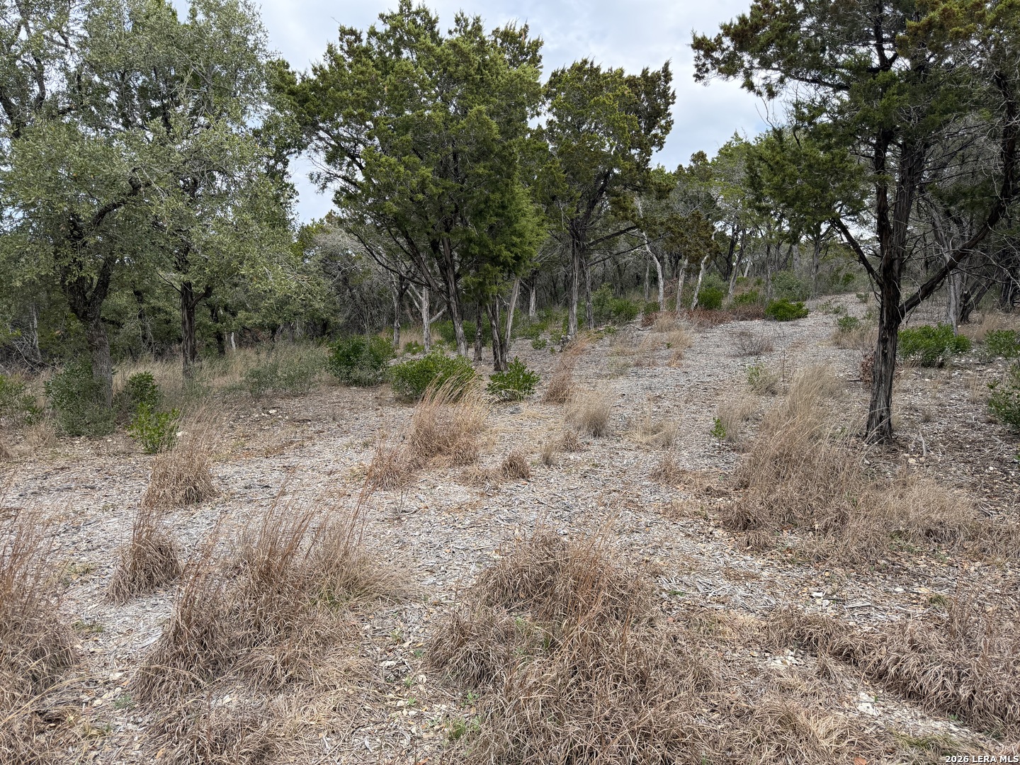 Lot 45 Pr 2775 Mico TX 78056