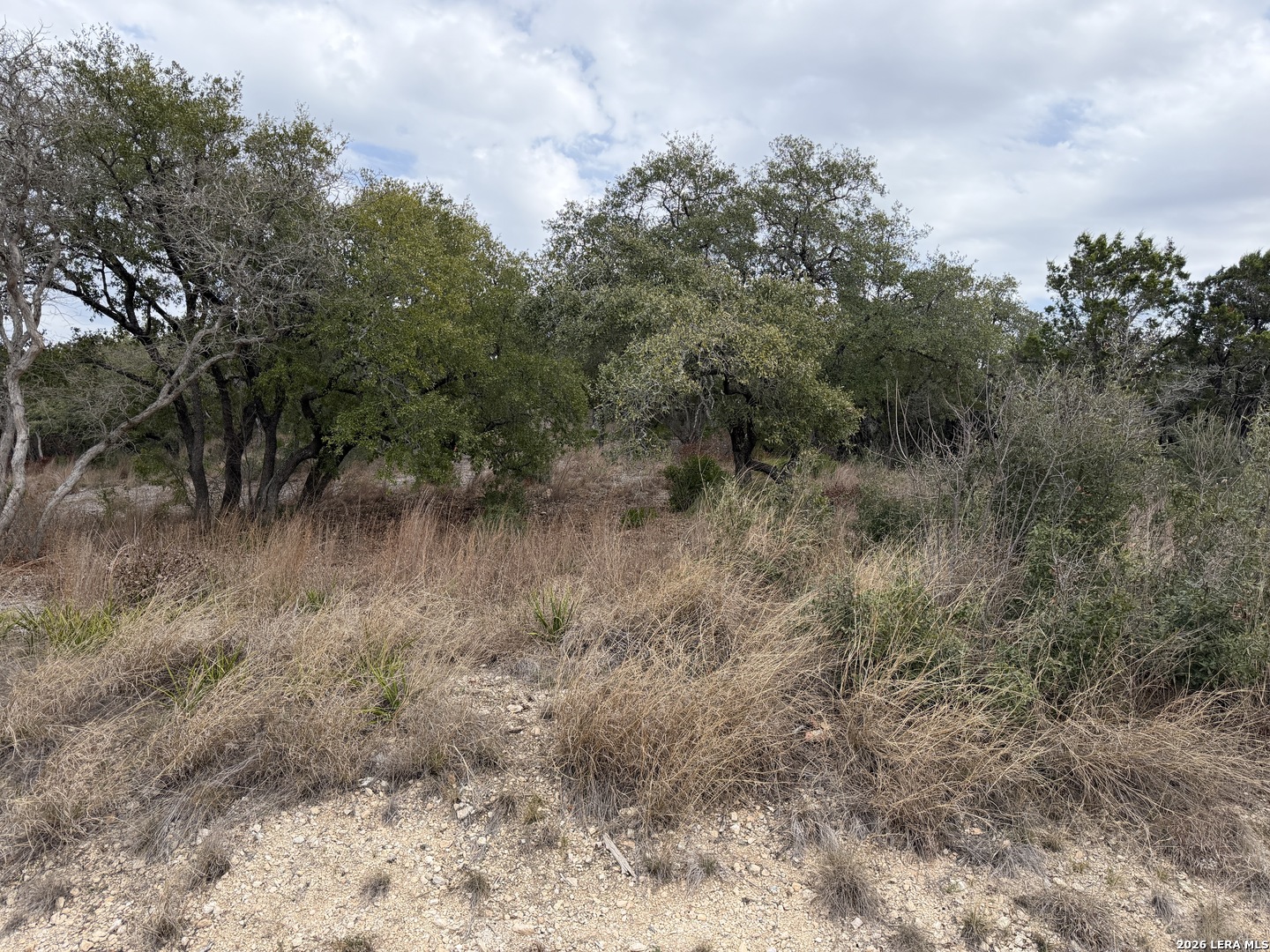 Lot 45 Pr 2775 Mico TX 78056