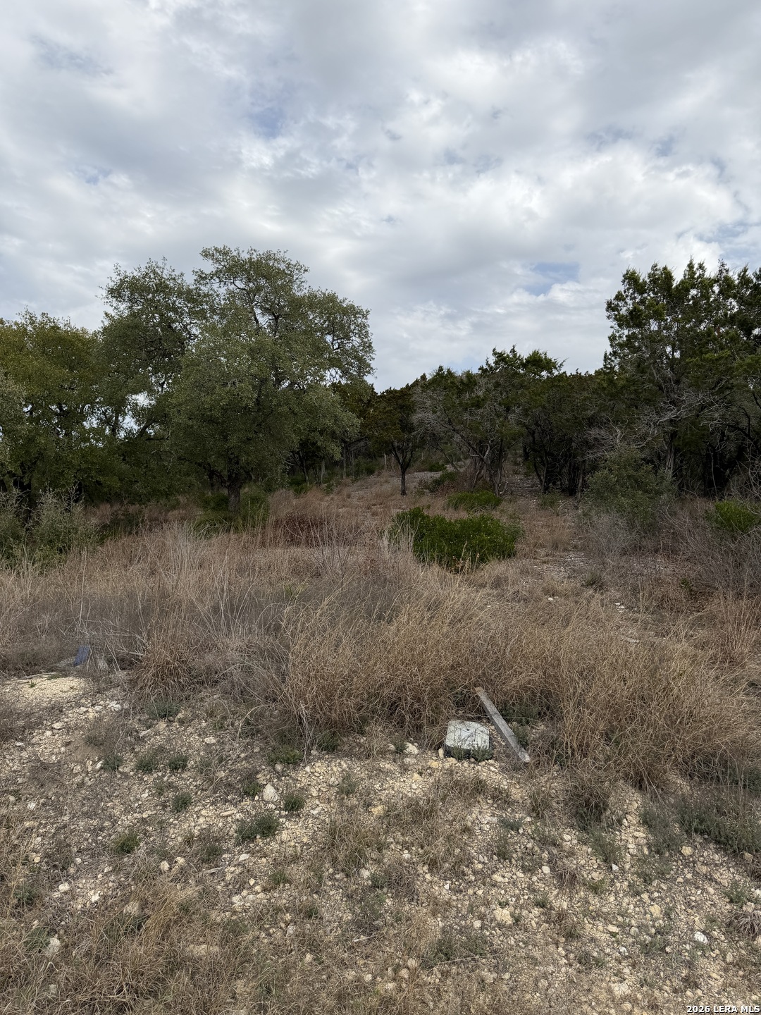 Lot 45 Pr 2775 Mico TX 78056