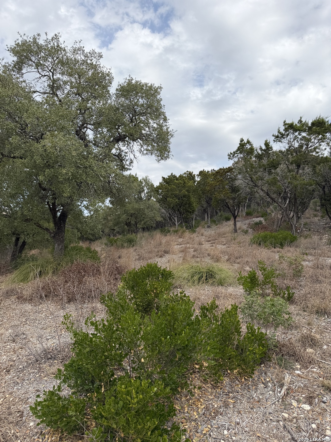 Lot 45 Pr 2775 Mico TX 78056
