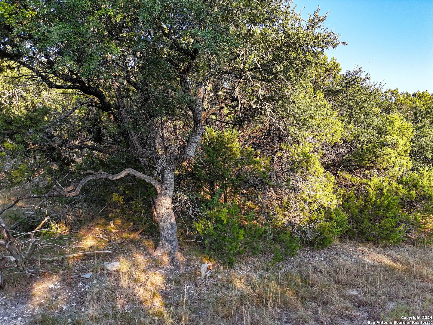 1155 Hancock Road Canyon Lake TX 78133