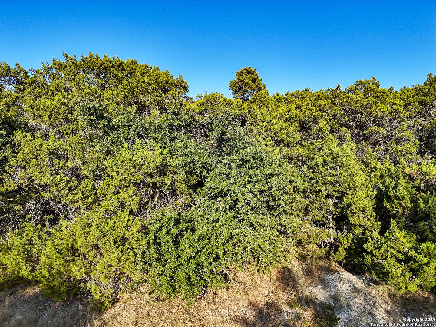 1155 Hancock Road Canyon Lake TX 78133