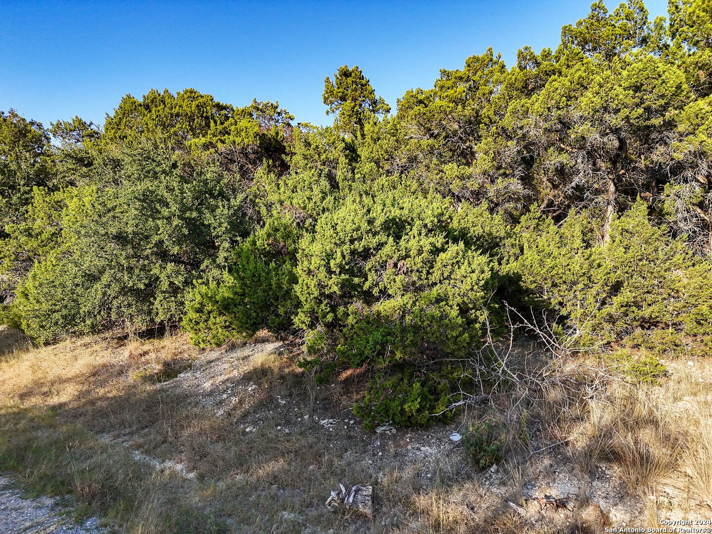 1155 Hancock Road Canyon Lake TX 78133