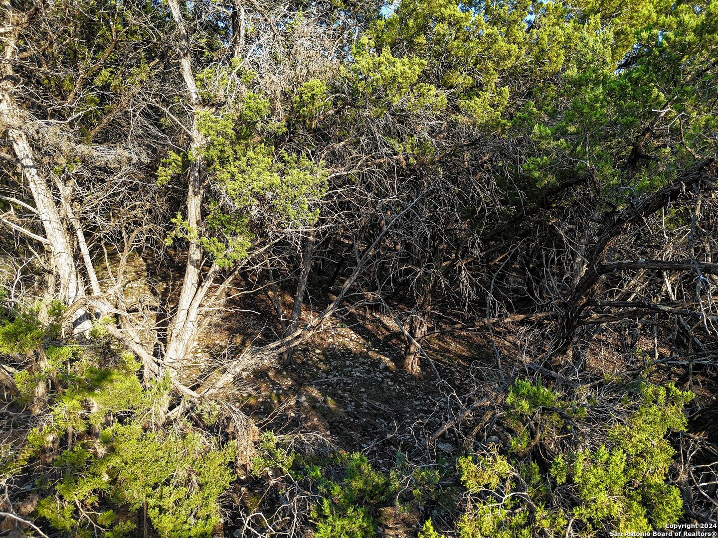 1155 Hancock Road Canyon Lake TX 78133
