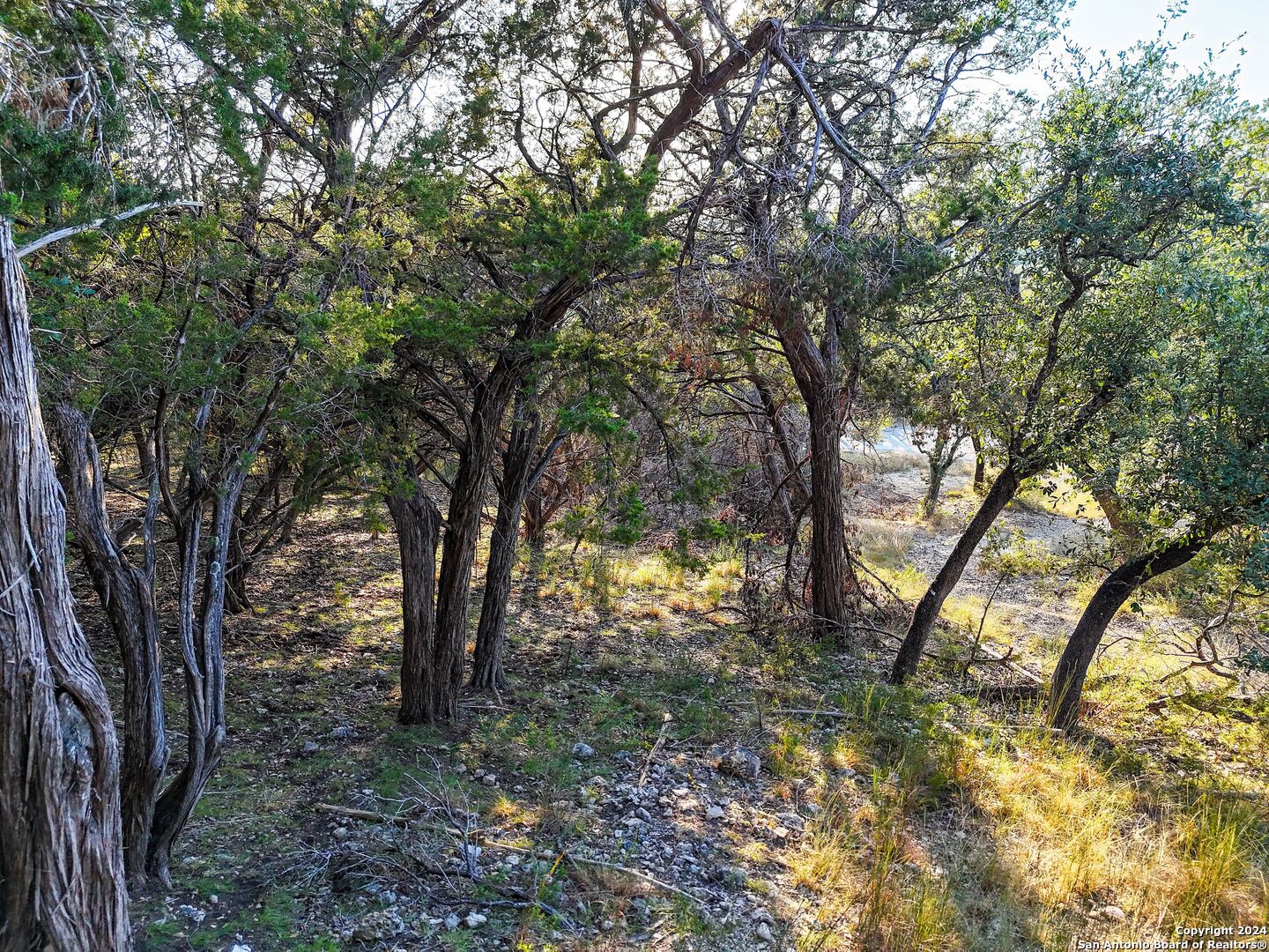 1155 Hancock Road Canyon Lake TX 78133