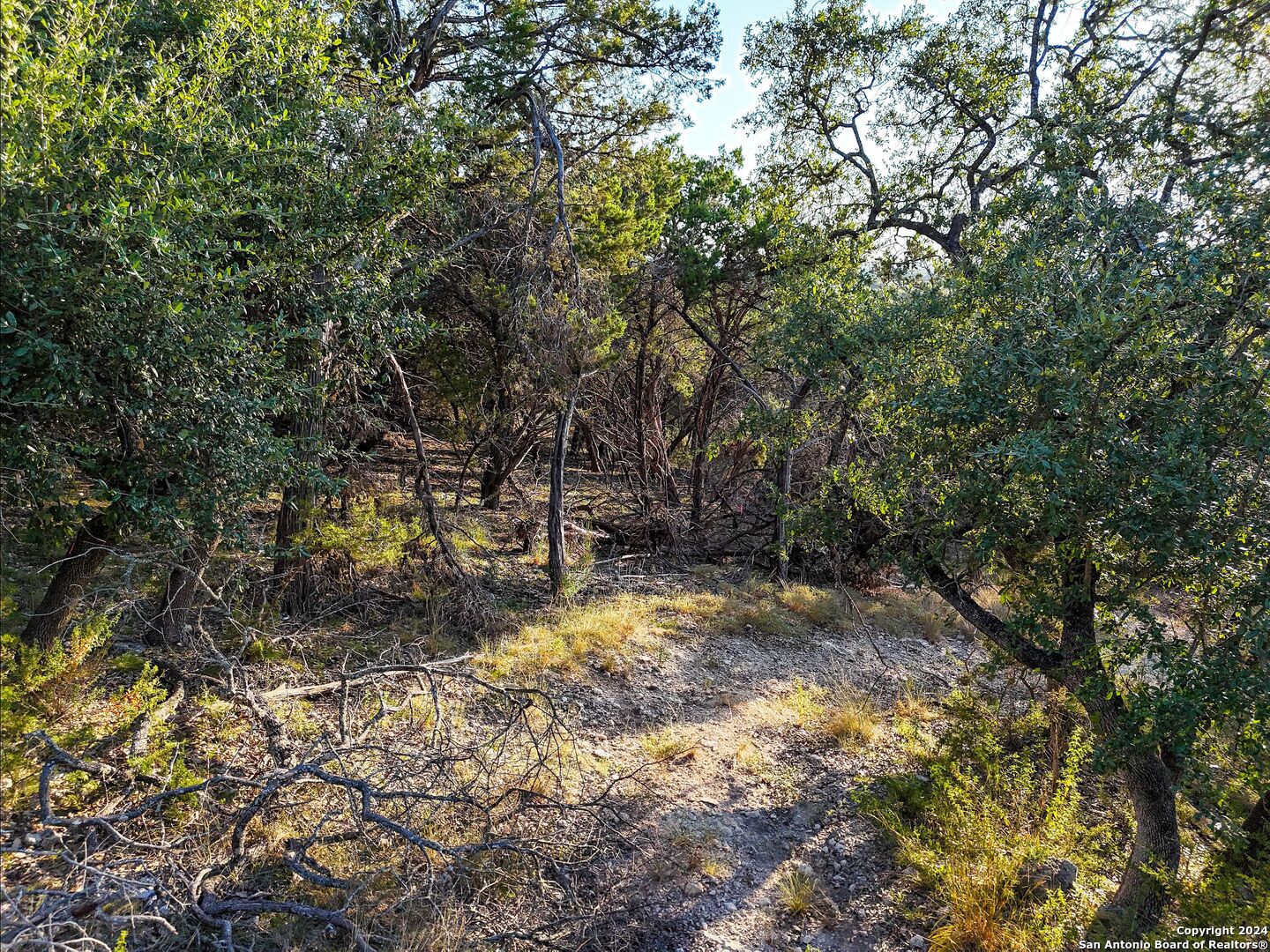1155 Hancock Road Canyon Lake TX 78133