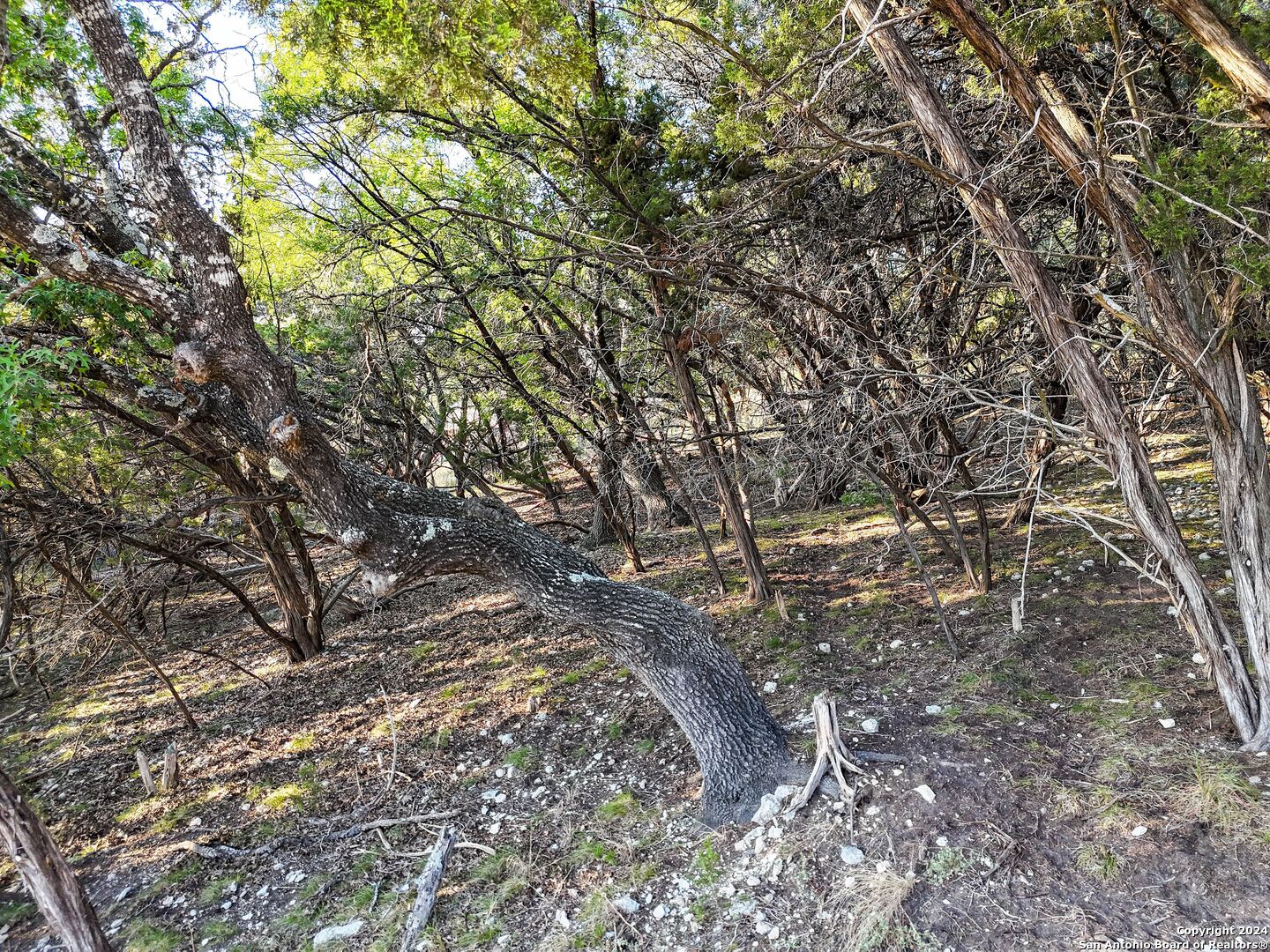 1155 Hancock Road Canyon Lake TX 78133